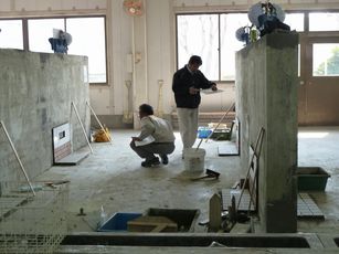 P1030737.JPG